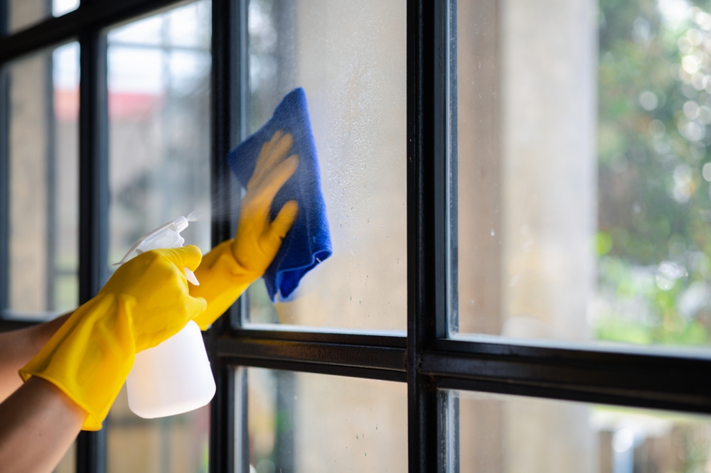 Benefits of Hiring a Professional Window Cleaner